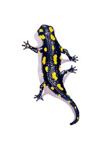 Salamander 40x30cm Farbholzschnitt
